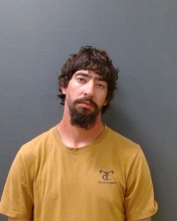 WOODS, DAVID ALAN arrest record in Comal County, Texas WOODS, DAVID ALAN arrested in Comal County, Texas mugshot