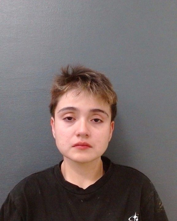 HERNANDEZ, ALIYAH RAENA arrest record in Comal County, Texas HERNANDEZ, ALIYAH RAENA arrested in Comal County, Texas mugshot