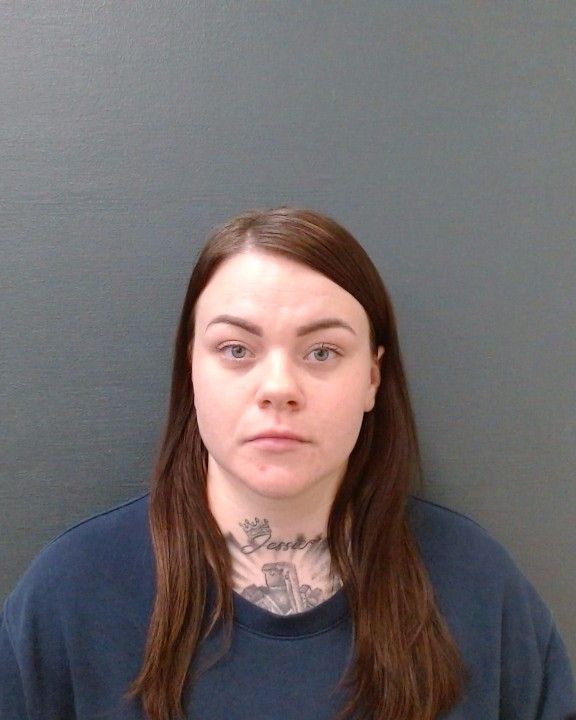 GOODFELLOW, CHELSEY LEE arrest record in Comal County, Texas GOODFELLOW, CHELSEY LEE arrested in Comal County, Texas mugshot