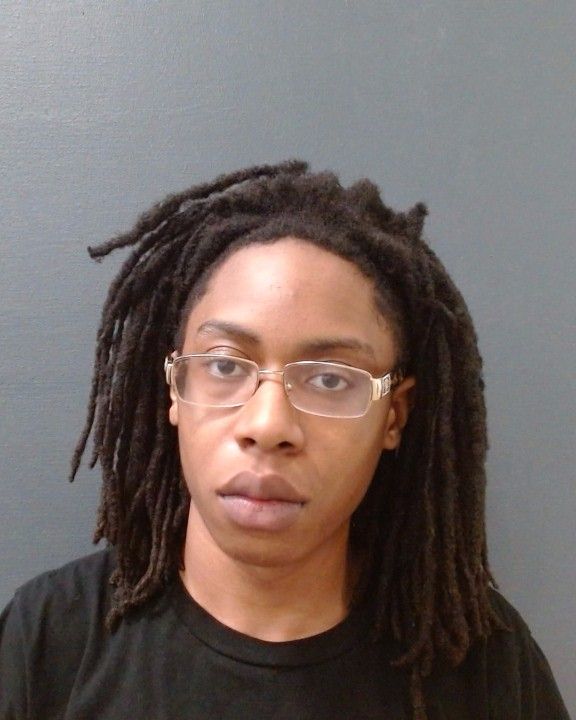 JOHNSON, JOSHUA LEJEAN arrested by Comal County SO/PD