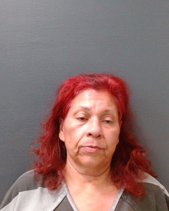BRIONES, GENEVA TERESA arrested by Comal County SO/PD