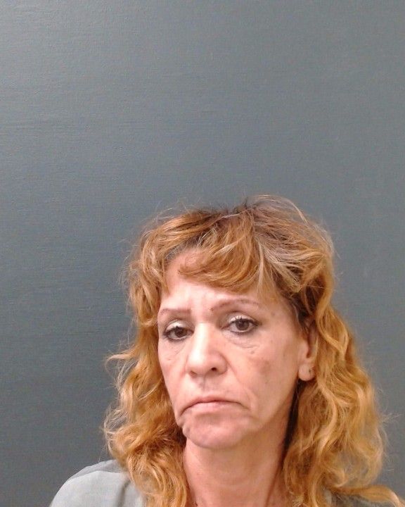TREVIZO, MARIA DELSOCORRO arrested by Comal County SO/PD