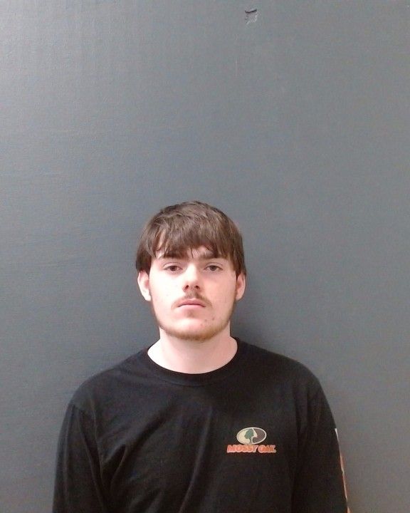 WALLACE, GEORGE ANDREW THAYER arrest record in Comal County, Texas WALLACE, GEORGE ANDREW THAYER arrested in Comal County, Texas mugshot