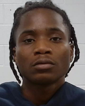Schneider, Xavier Christopher, Jr. arrested by Collin County SO/PD