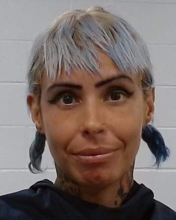 Medina, Melissa Suzette arrested by Collin County SO/PD