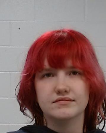 Murray, Ardyn Kaleigh Brynn arrested by Collin County SO/PD
