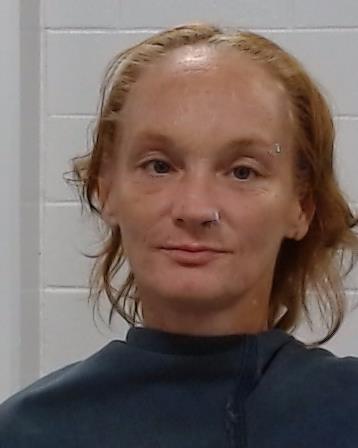 Vandeneynde, Sara Lindsay arrest record Vandeneynde, Sara Lindsay mugshot