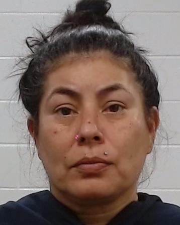 Gonzales, Letitia arrest record Gonzales, Letitia mugshot