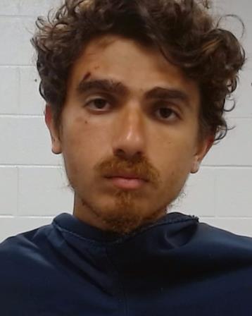 Saleh, Tamer Michael arrested by Collin County SO/PD