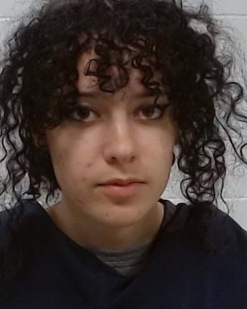 Lyerla, Olivia Jacklynn Love arrested by Collin County SO/PD