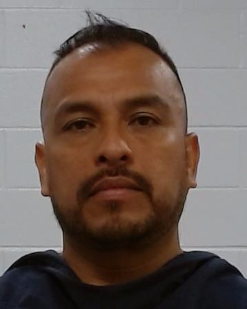 CUESTA MOLINA, GUADALUPE arrested by Collin County SO/PD