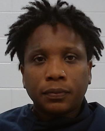 Johnson, Antoinette Elysse arrest record Johnson, Antoinette Elysse mugshot
