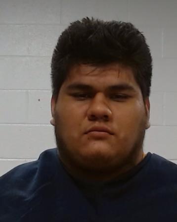 Altamirano Arce, Daniel arrest record Altamirano Arce, Daniel mugshot