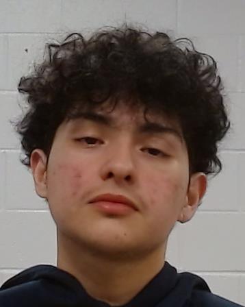 Salinas, Alan arrest record Salinas, Alan mugshot