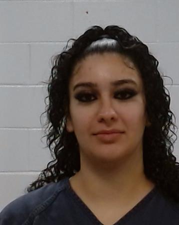 Mustafa, Dania Alia arrest record Mustafa, Dania Alia mugshot