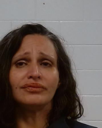 Nasir, Amber Ayesha arrest record Nasir, Amber Ayesha mugshot