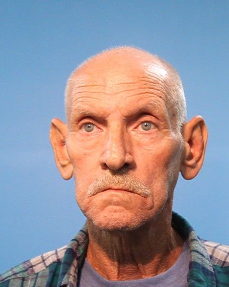 Griffin, Dennis James arrested by Brazoria County SO/PD