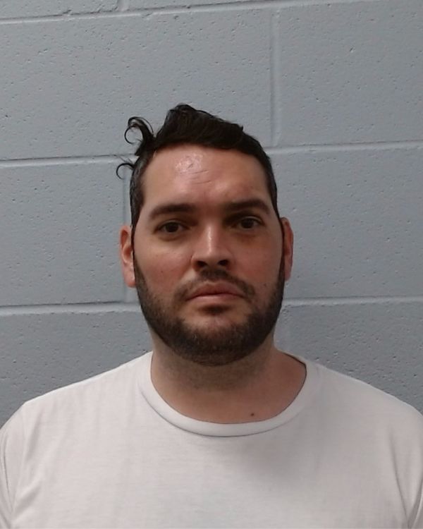 Rager, David Vincent arrest record in Hays County, Texas Rager, David Vincent arrested in Hays County, Texas mugshot