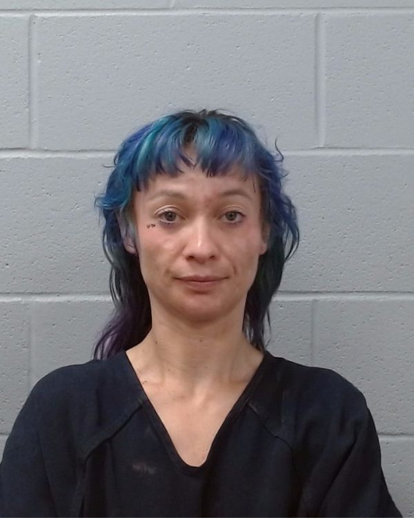 Hicks, Kristin Rose arrest record in Hays County, Texas Hicks, Kristin Rose arrested in Hays County, Texas mugshot