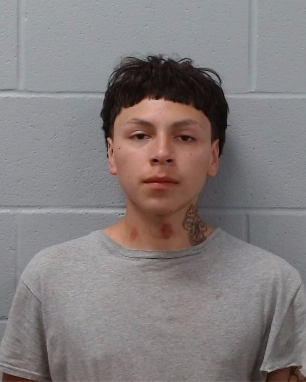 Guzman, Brandon arrest record in Hays County, Texas Guzman, Brandon arrested in Hays County, Texas mugshot