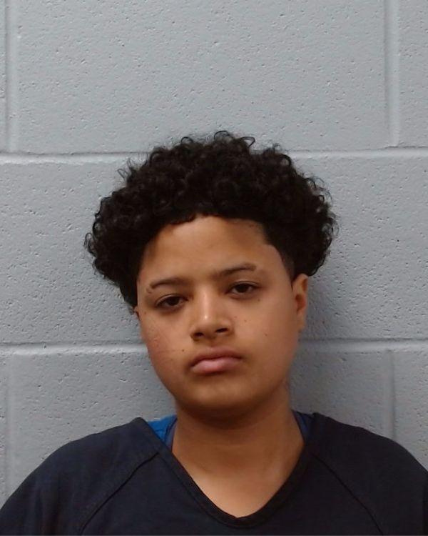 Walker, Desiree Leachelle arrest record in Hays County, Texas Walker, Desiree Leachelle arrested in Hays County, Texas mugshot