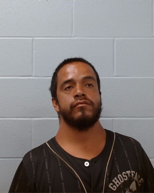 Pineda, Mario Antino arrest record in Hays County, Texas Pineda, Mario Antino arrested in Hays County, Texas mugshot