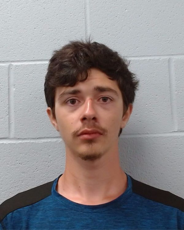 McKinley, Tristen Davis arrest record in Hays County, Texas McKinley, Tristen Davis arrested in Hays County, Texas mugshot