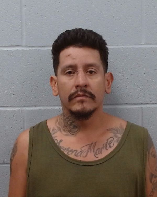 Blanco, Juan Carlos arrest record in Hays County, Texas Blanco, Juan Carlos arrested in Hays County, Texas mugshot