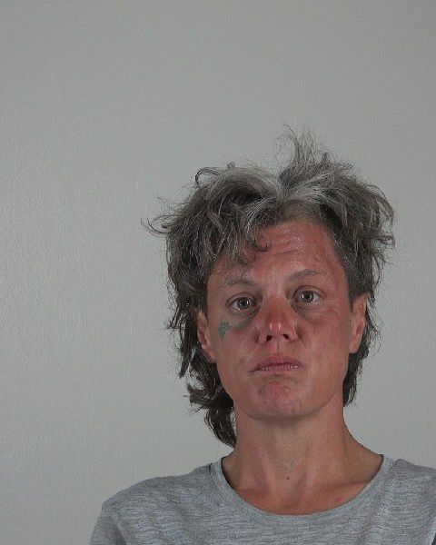ELIZABETH TURNER arrest record in Tarrant County, Texas ELIZABETH TURNER arrested in Tarrant County, Texas mugshot