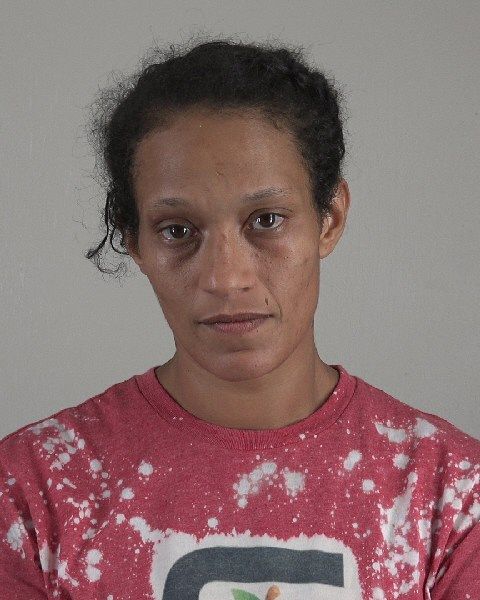 SHAWNA JENNESS arrest record in Tarrant County, Texas SHAWNA JENNESS arrested in Tarrant County, Texas mugshot