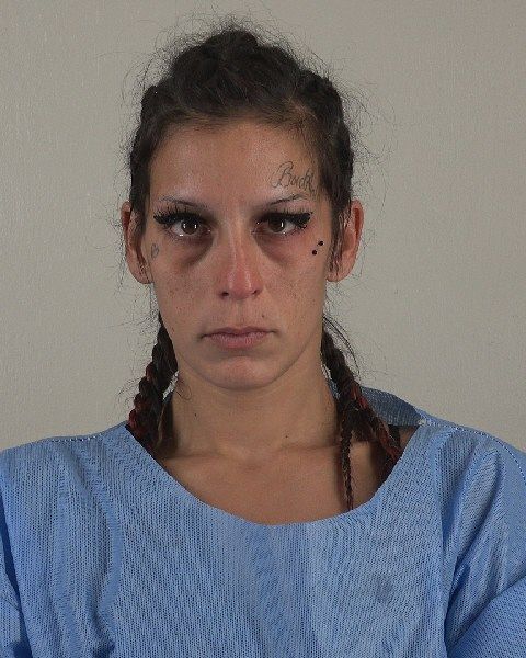 CYNTHIA PERALES arrest record in Tarrant County, Texas CYNTHIA PERALES arrested in Tarrant County, Texas mugshot
