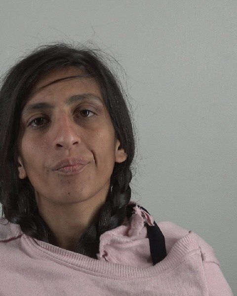 DELARAM SOLEIMANI arrest record in Tarrant County, Texas DELARAM SOLEIMANI arrested in Tarrant County, Texas mugshot