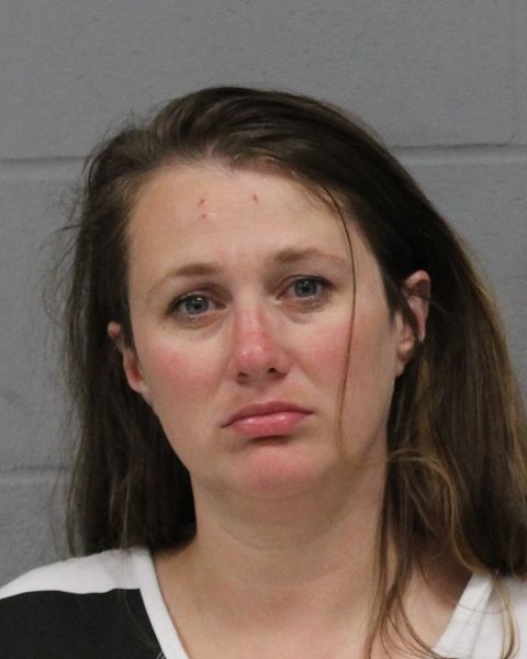 ELIZABETH FELLOWS arrest record ELIZABETH FELLOWS mugshot