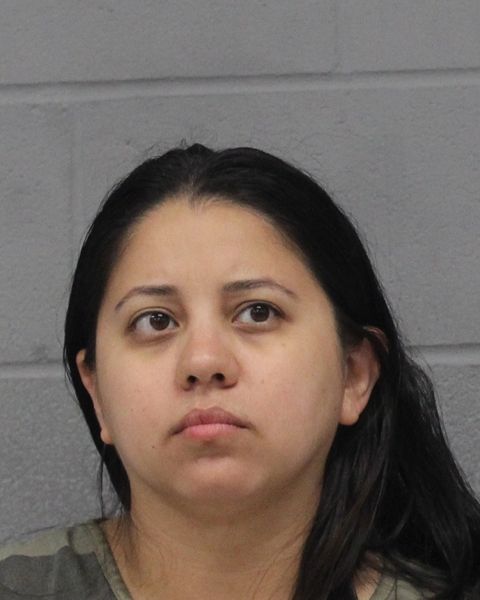 CRYSTAL CASTILLO arrest record CRYSTAL CASTILLO mugshot