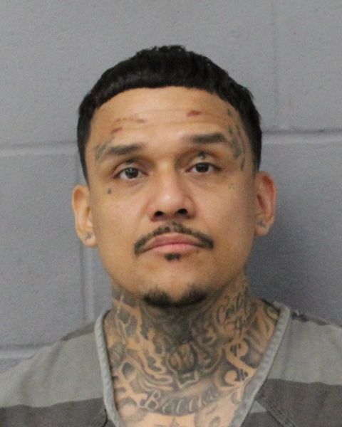 MARIO SAUCEDO arrest record MARIO SAUCEDO mugshot