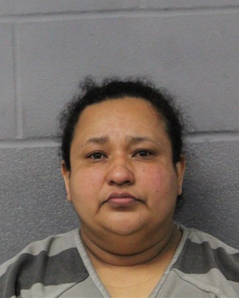 YAMILETH MEZA arrest record YAMILETH MEZA mugshot
