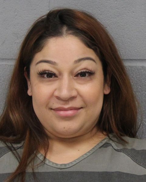 ANNALYSSIA DOMINGUEZ arrest record ANNALYSSIA DOMINGUEZ mugshot