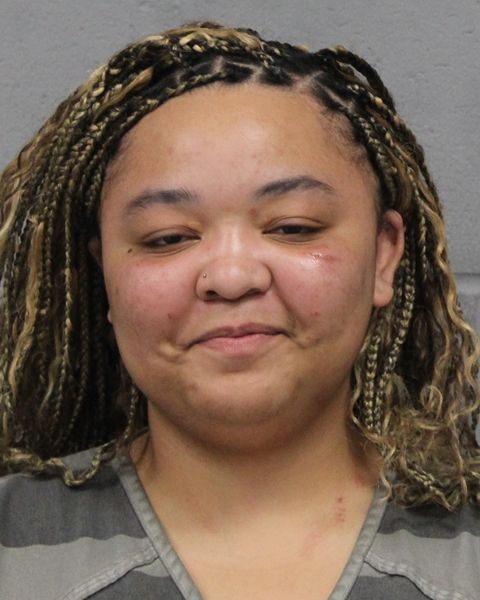 ALILLIAN RICE arrest record ALILLIAN RICE mugshot