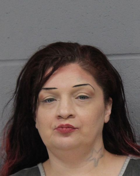 VALERIE VEGA arrest record VALERIE VEGA mugshot