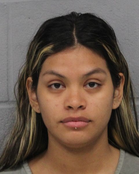 JOHILETH CHIREMA PENA arrest record JOHILETH CHIREMA PENA mugshot