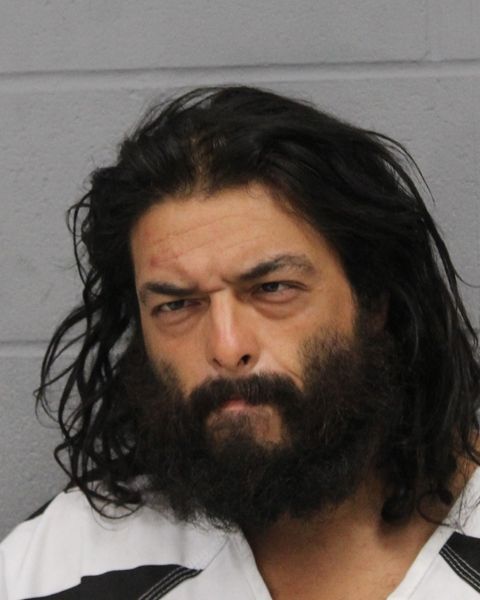 DAVID CASTRO arrest record DAVID CASTRO mugshot