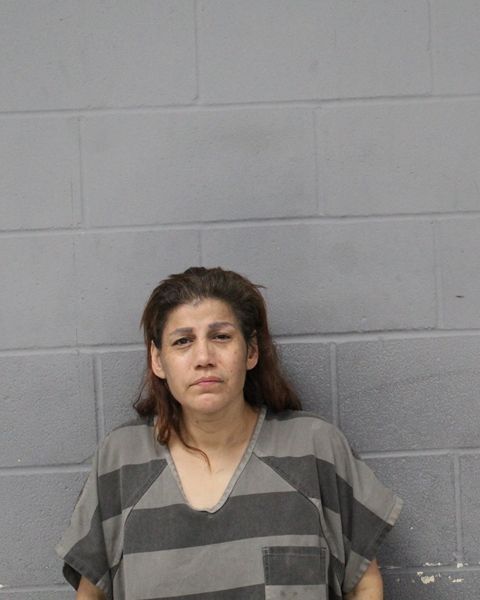 LUZDIVINA HERNANDEZ arrest record LUZDIVINA HERNANDEZ mugshot
