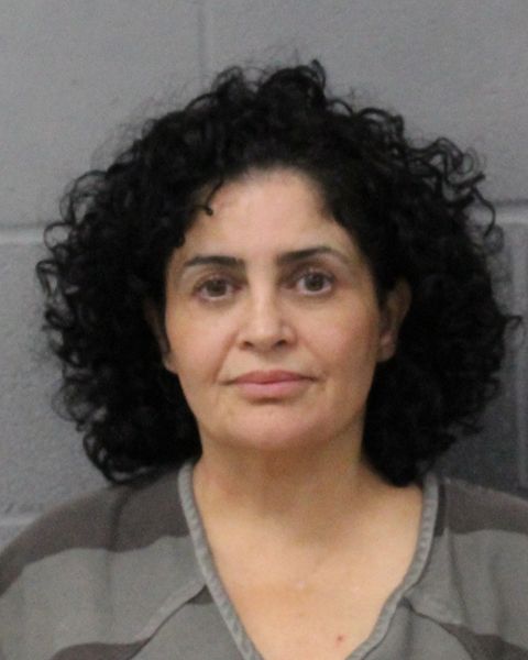 MILLIE ASCHENBACH arrest record MILLIE ASCHENBACH mugshot