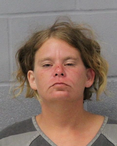 CHRISTINA MCINVALE arrest record CHRISTINA MCINVALE mugshot