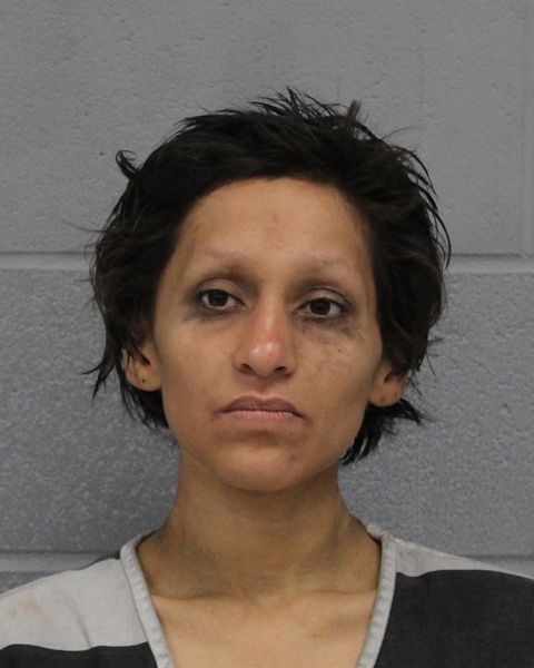 ROSA MARTINEZ arrest record ROSA MARTINEZ mugshot