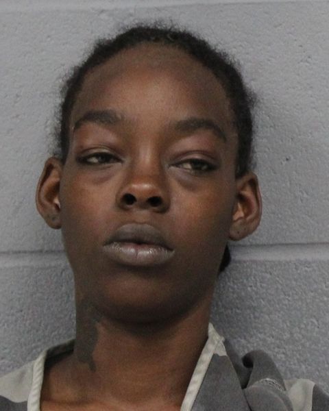 BRIANNA BIBBS arrest record BRIANNA BIBBS mugshot