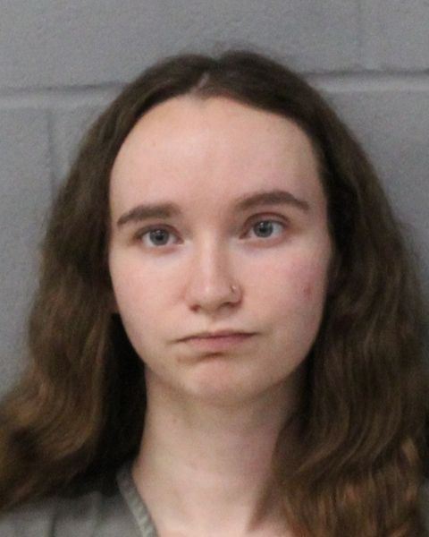 ANGELINA KING arrest record ANGELINA KING mugshot