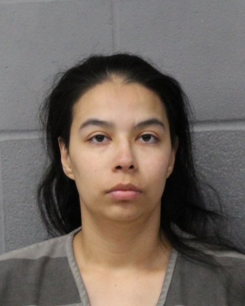 TERESA HENRY arrest record TERESA HENRY mugshot