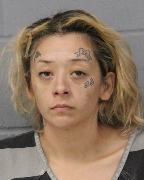 MARIBEL CERRILLO arrest record MARIBEL CERRILLO mugshot