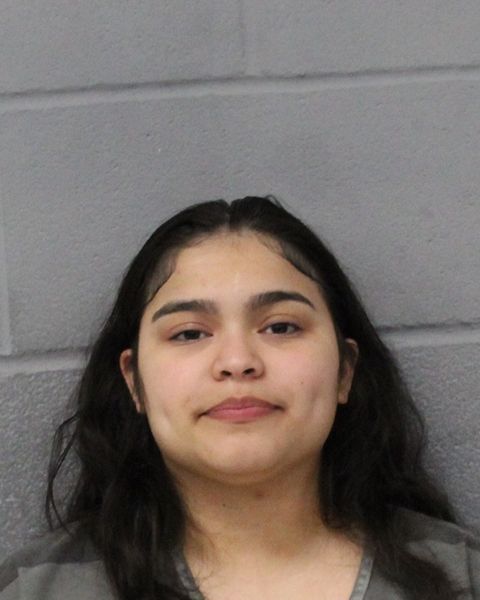 VIVIAN RODRIGUEZ arrest record VIVIAN RODRIGUEZ mugshot